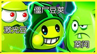 我眼中的豆荚,自然界的奇妙宝盒