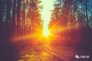 逆光归途,追寻光明与希望的旅程